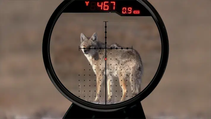 Key Advantages of Scopes with Range Finders